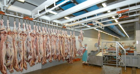 Дезинсекция на мясокомбинате в Реутове, цены на услуги