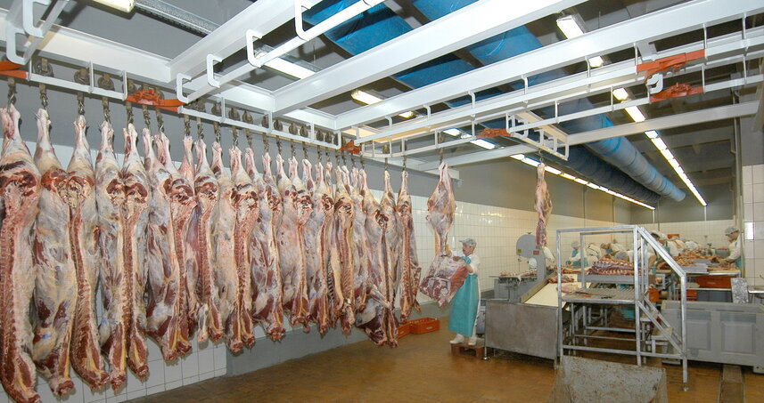 Дезинсекция на мясокомбинате в Реутове, цены на услуги